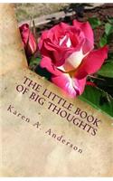 The Little Book of BIG Thoughts-Vol. 1