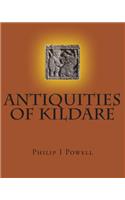 ANTIQUITIES of KILDARE