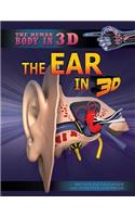 The Ear in 3D