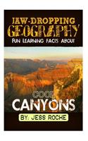 Jaw-Dropping Geography: Fun Learning Facts about Cool Canyons: Illustrated Fun Learning for Kids
