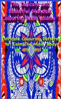 The Delicate and Beautiful Mandala Colouring Book Volume 1: Intricate Colouring Patterns to Calm the Mind, Body and Soul.