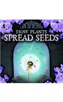 How Plants Spread Seeds