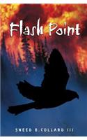 Flash Point