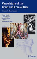 Vasculature of the Brain and Cranial Base