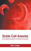 Sickle Cell Anemia: From Basic Science to Clinical Practice