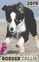 Border Collie 2019 Calendar (UK Edition)