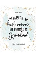 Only The Best Moms Get Promoted To Grandma