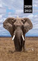 Elephant Mammoth Week Planner Weekly Organizer Calendar 2020 / 2021 - Birds on Head