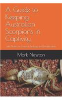 Guide to Keeping Australian Scorpions in Captivity