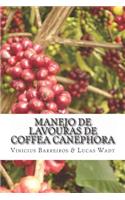 Manejo de Lavouras de Coffea Canephora