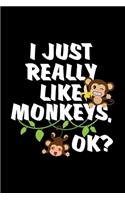 I Just Really Like Monkeys, Ok?