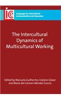 Intercultural Dynamics of Multicultural Working, 19