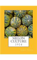 Melon Culture