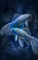 Cool Blue Zodiac Horoscope Pisces The Fish Journal