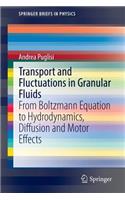 Transport and Fluctuations in Granular Fluids