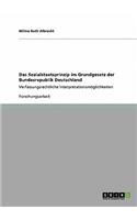 Sozialstaatsprinzip im Grundgesetz der Bundesrepublik Deutschland: Verfassungsrechtliche Interpretationsmöglichkeiten