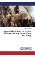 Bioremediation of Industrial Effluents Using Some White Rot Fungi