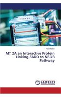 MT 2A an Interactive Protein Linking FADD to NF-kB Pathway