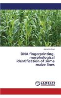 DNA fingerprinting, morphological identification of some maize lines