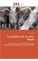 maladie due au virus nipah