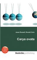 Carya Ovata: (English)