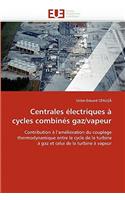 Centrales Électriques À Cycles Combinés Gaz/Vapeur