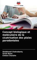 Concept biologique et moléculaire de la cicatrisation des plaies parodontales