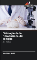 Fisiologia della riproduzione del coniglio