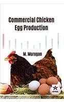 Commercial Chicken Egg Production
