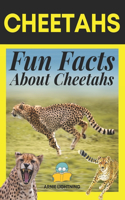 Cheetahs