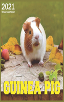 2021 guinea pig: 2021 Wall & Office Calendar, 12 Month Calendar