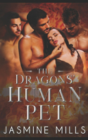 Dragons' Human Pet