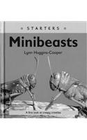 Read Write Inc. Comprehension: Module 24: Children's Books: Mini Beasts Pack of 5 books