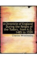 A Chronicle of England During the Reigns of the Tudors, from A.D. 1485 to 1559