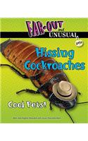 Hissing Cockroaches