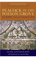 Peacock in the Poison Grove