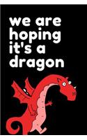 We Are Hoping It's a Dragon