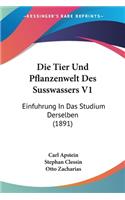Die Tier Und Pflanzenwelt Des Susswassers V1