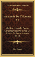 Anatomie De L'Homme V3: Ou Description Et Figures Lithographiees De Toutes Les Parties Du Corps Humain (1830)