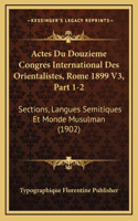 Actes Du Douzieme Congres International Des Orientalistes, Rome 1899 V3, Part 1-2