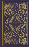 ESV Illuminated Scripture Journal: John (Paperback)(ESV Illuminated Scripture Journal)