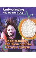 Understanding the Brain and the Nervous System
