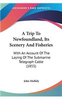 A Trip To Newfoundland, Its Scenery And Fisheries
