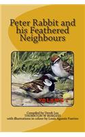 PETER RABBIT and his FEATHERED NEIGHBOURS vol 1: (Peter Rabbit and His Feathered Bird Neighbours)