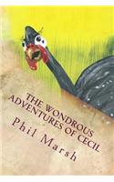The Wondrous Adventures of Cecil