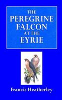 The Peregrine Falcon at the Eyrie