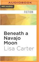 Beneath a Navajo Moon