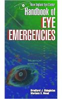 Handbook Of Eye Emergencies