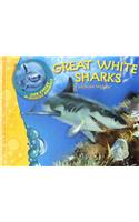 Us Lcma Great White Sharks