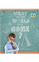 What in the World Is a Cone?